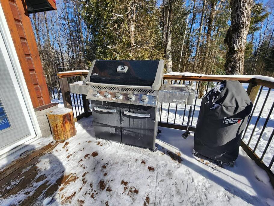 Dingle Run Lodge At Sir Sam'S Haliburton Exterior foto